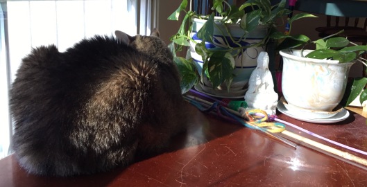 Tabby cat beside plants and a small statue of Kwan Yin